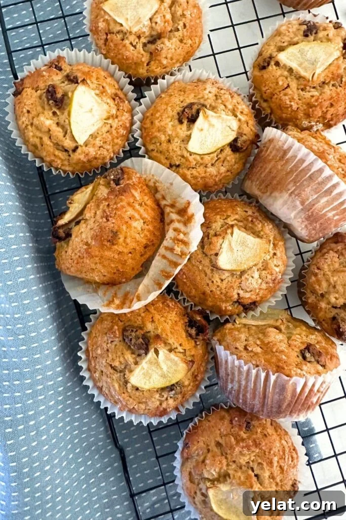 Sourdough Applesauce Muffins Recipe for Moist, Tangy Flavor 2 A batch of sourdough applesauce muffins sitting on a black wire cooling rack. There is a light blue dishtowel to the left of the pile of muffins.