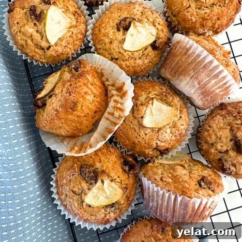 Sourdough applesauce muffins - recipe feature image