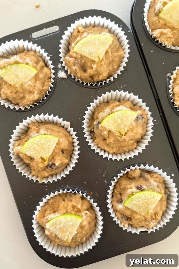 Sourdough Applesauce Muffins Recipe for Moist, Tangy Flavor 7 img 25530 6