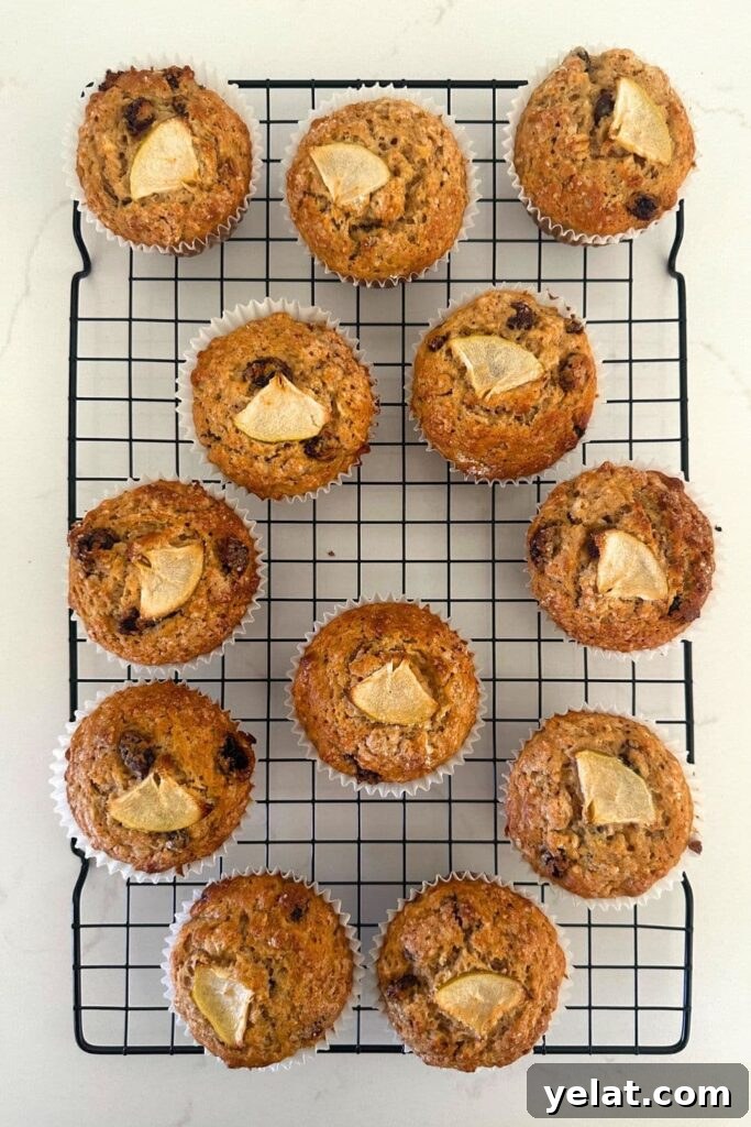 Sourdough Applesauce Muffins Recipe for Moist, Tangy Flavor 8 img 25530 7