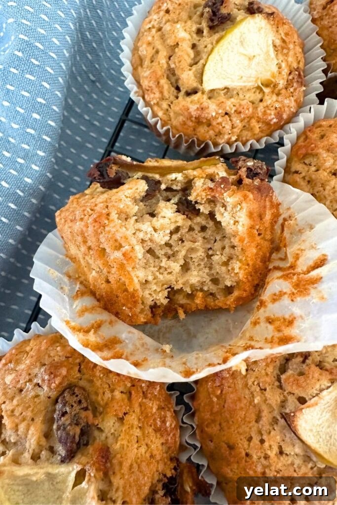 Sourdough Applesauce Muffins Recipe for Moist, Tangy Flavor 9 Close up photo of a sourdough applesauce muffin with a bite taken out of it so that you can see the crumb inside.
