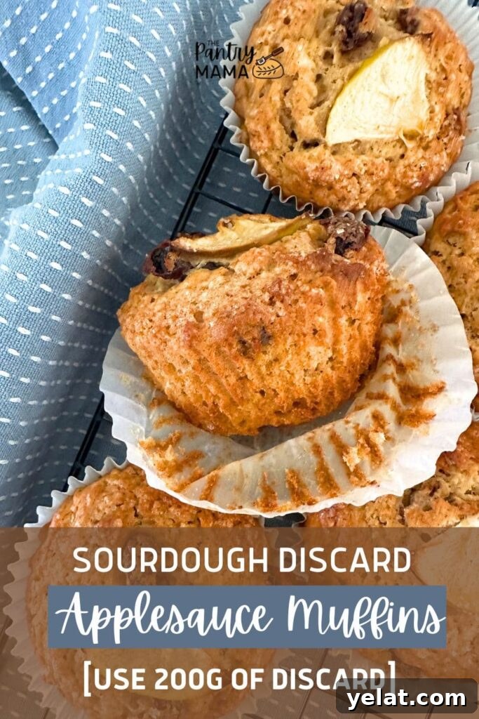 Sourdough Applesauce Muffins Recipe for Moist, Tangy Flavor 10 SOURDOUGH APPLESAUCE MUFFINS - PINTEREST IMAGE