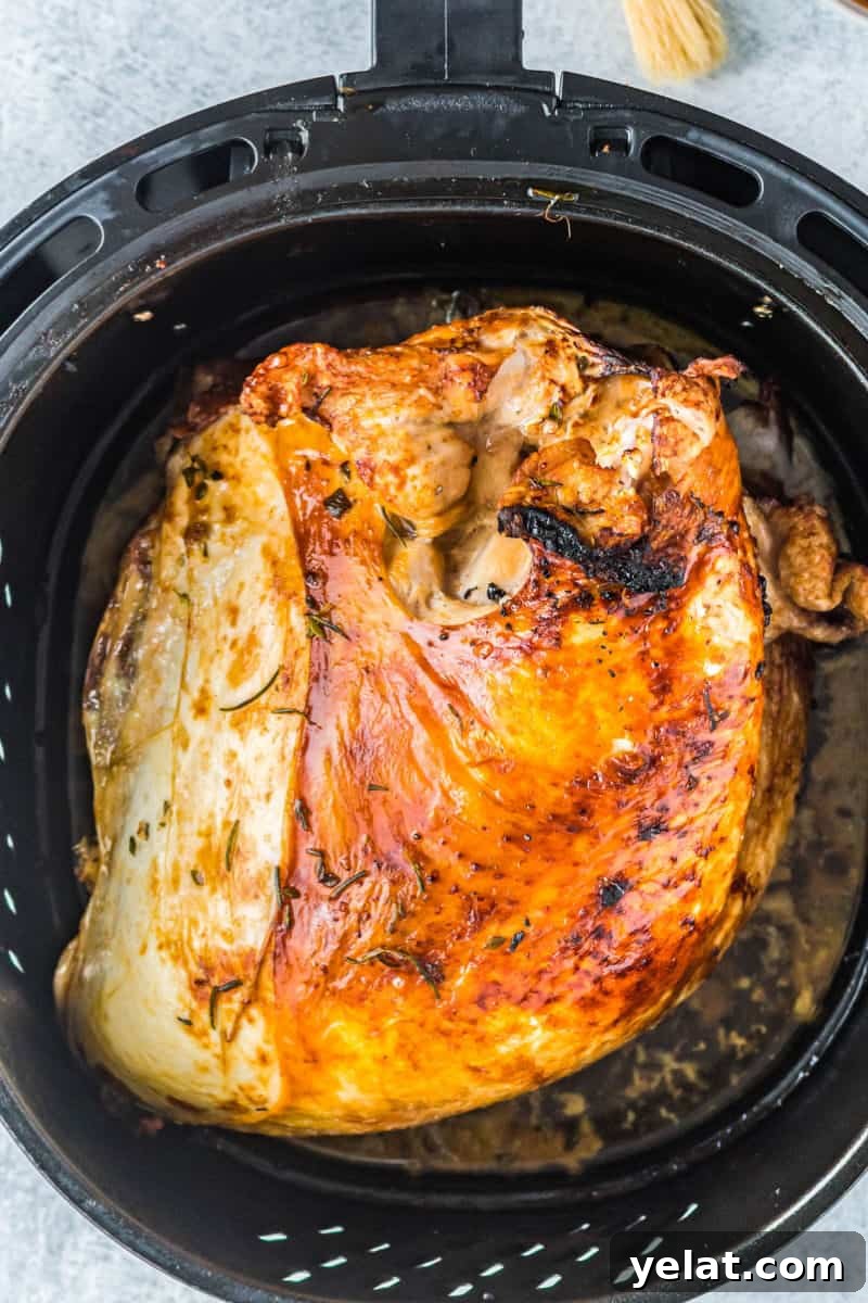 Glazed Turkey Breast in an Air Fryer: Juicy, Quick Recipe 7 roasted turkey in an air fryer basket before glazing