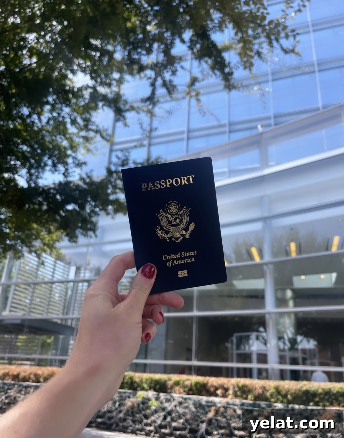 Get an Emergency Passport in 8 Hours: Fast Processing Guide 2 img 26575 1