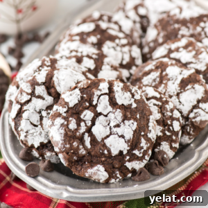 Chewy Chocolate Crinkle Cookies Recipe for Perfectly Soft Centers 11 A silver tray filled with chocolate crinkle cookies coated in powdered sugar.