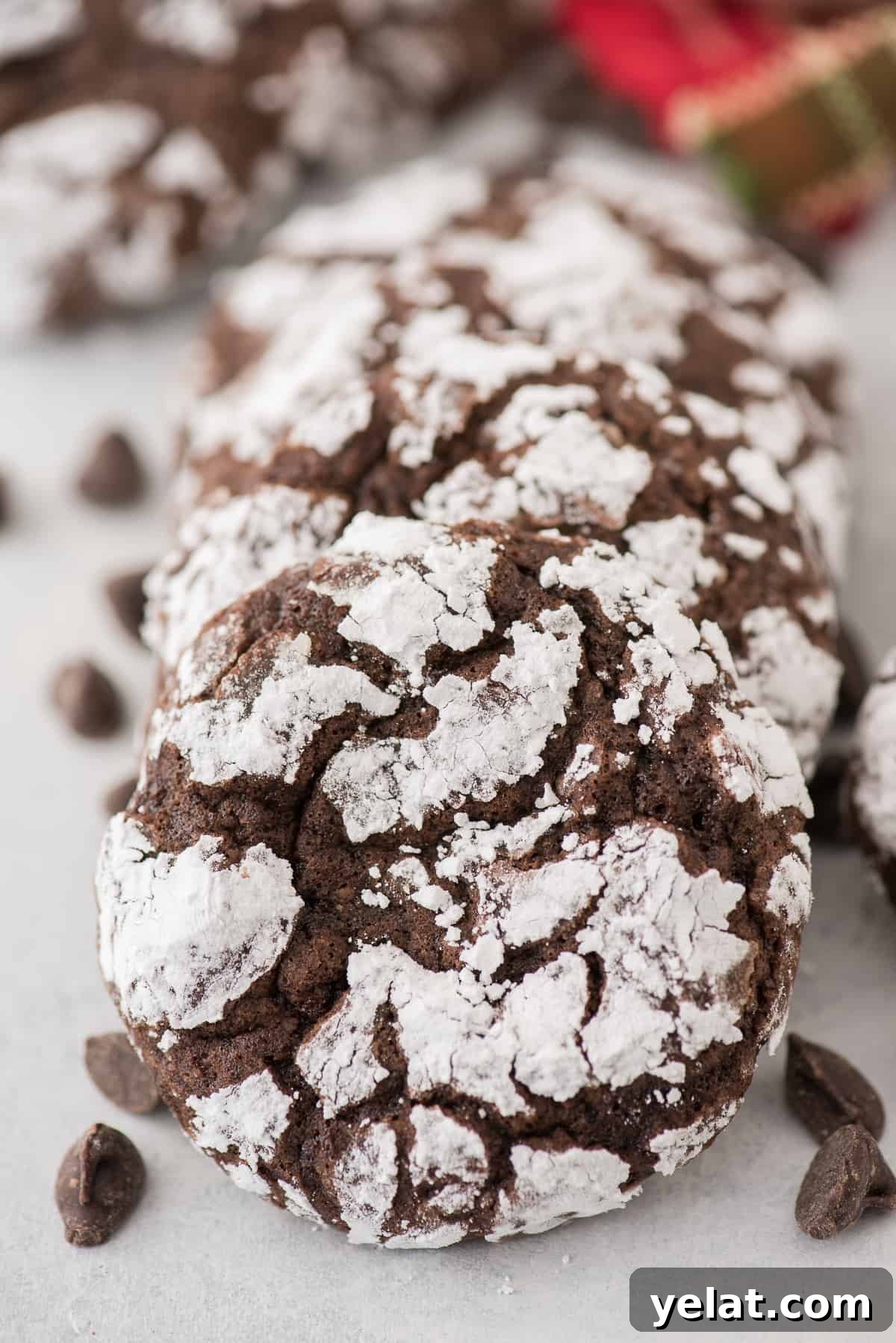 Chewy Chocolate Crinkle Cookies Recipe for Perfectly Soft Centers 10 chocolate crinkle cookies rolled in powdered sugar displayed on gray surface