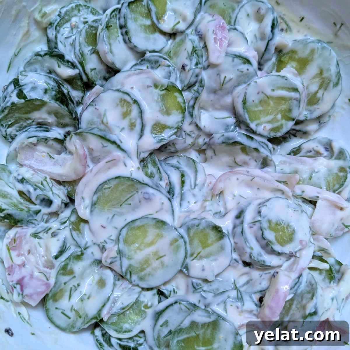 Close up of creamy cucumber salad