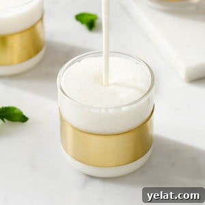 Authentic Sweet Lassi Recipe: Creamy Indian Yogurt Drink Guide 15 img 2700 14