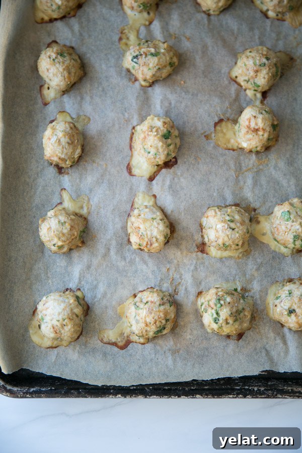 Southwestern turkey meatballs - chia seeds as binder