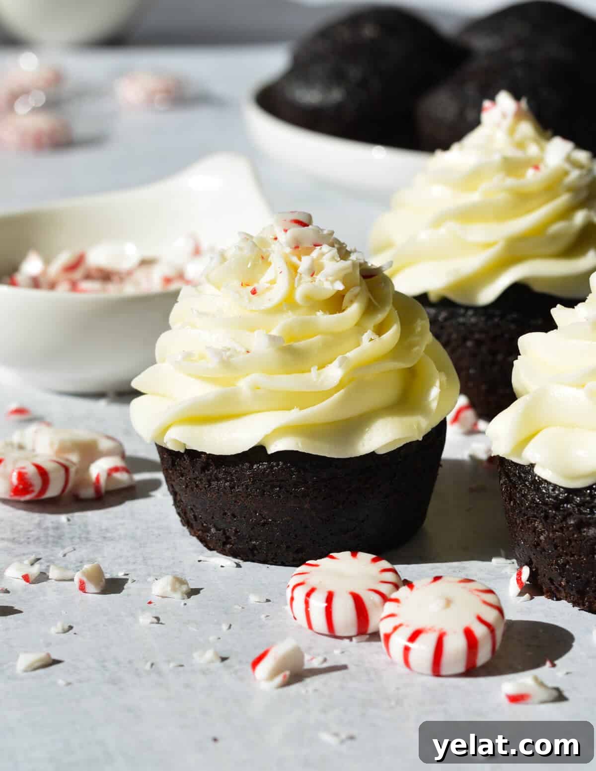 Silky Peppermint Buttercream Frosting Recipe for Cakes & Cupcakes 2 chocolate cupcake with peppermint buttercream.