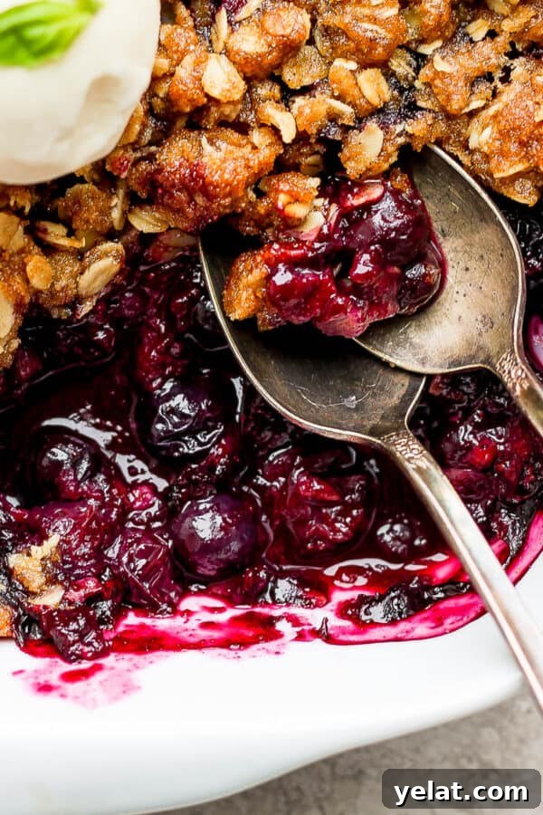 Close up shot of the corner section of 9x9 pan of blueberry crisp with two spoons sticking out.