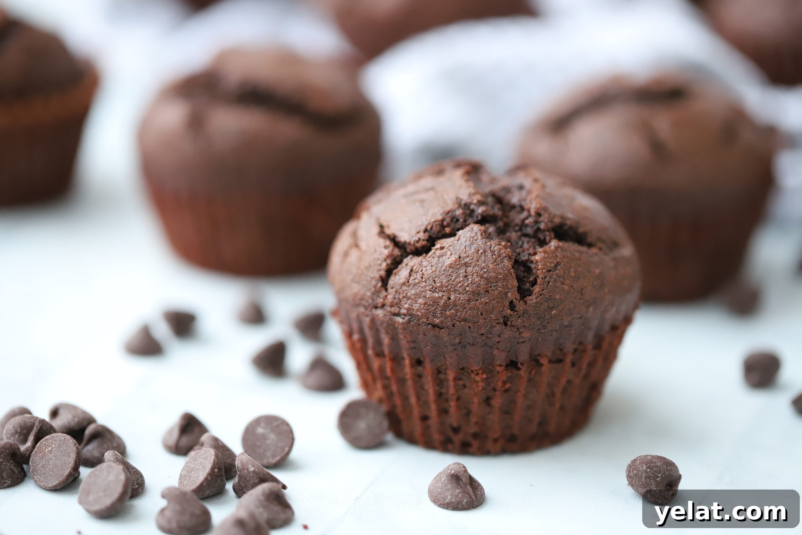 Decadent Chocolate Banana Muffins with Gooey Chocolate Chips 2 img 2847 1
