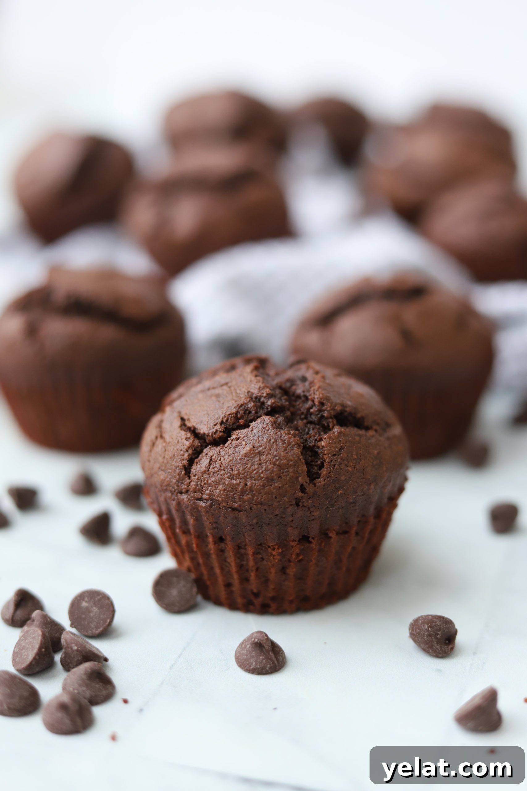 Decadent Chocolate Banana Muffins with Gooey Chocolate Chips 10 img 2847 9