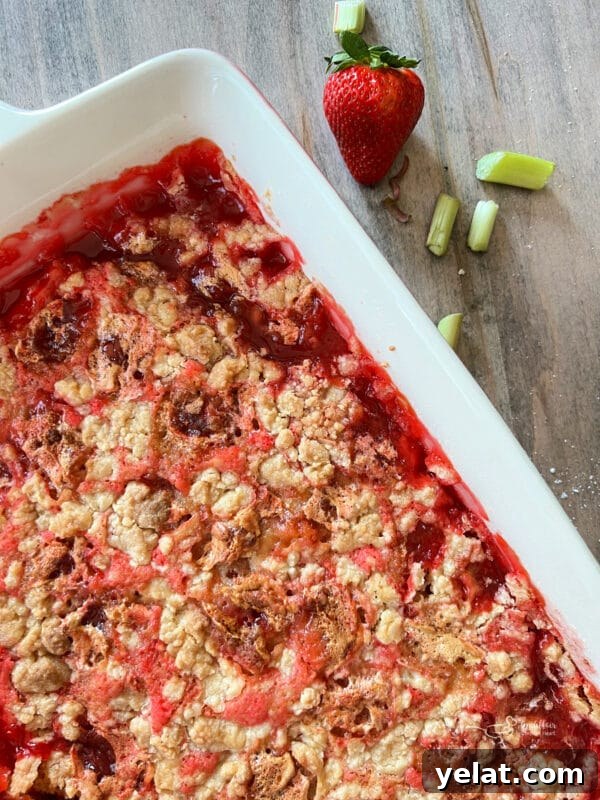 Strawberry Rhubarb Crisp with Buttery Oat Topping 2 Strawberry Rhubarb Cobbler