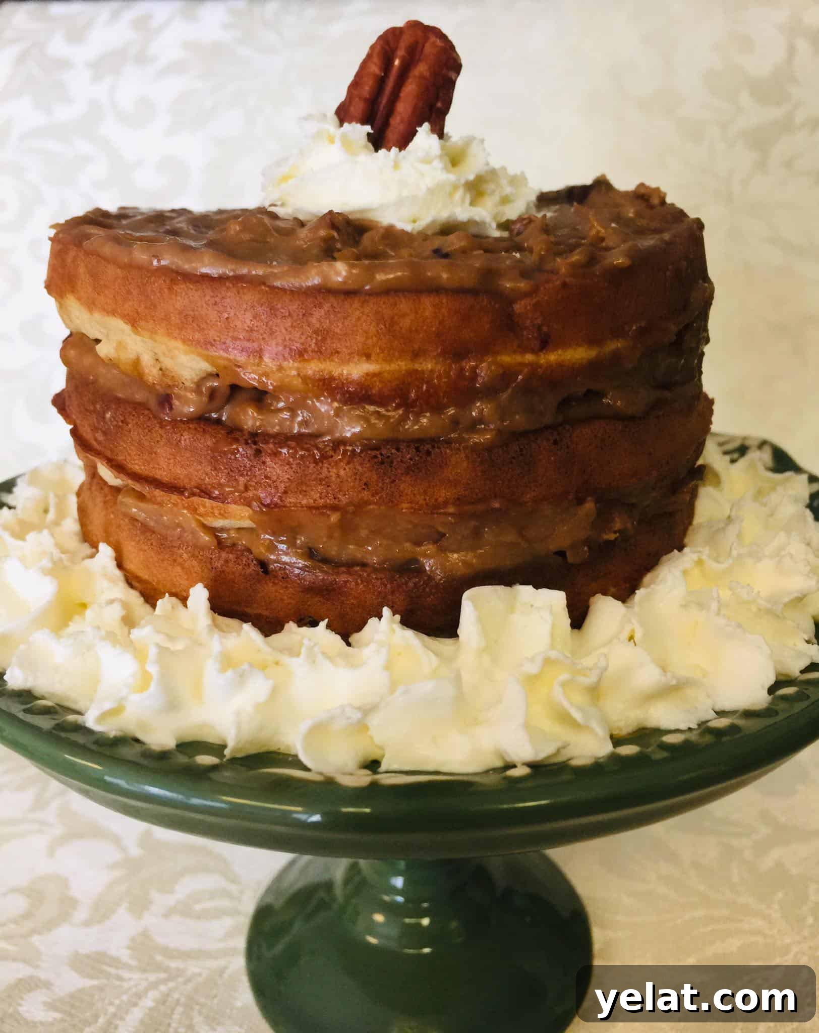 Pecan Pie Chaffle Cake: Low-Carb Keto Dessert Recipe 2 It's fall time, which means pecan season is here!! If you are from the south or simply love pecan pie...you are going to love this Pecan Pie Chaffle Cake!