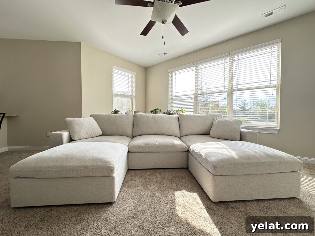 My 7th Avenue Sofa Review: Modular, PFAS-Free Upholstery 4 an image of a PFAS-free sofa from 7th Avenue in the living room