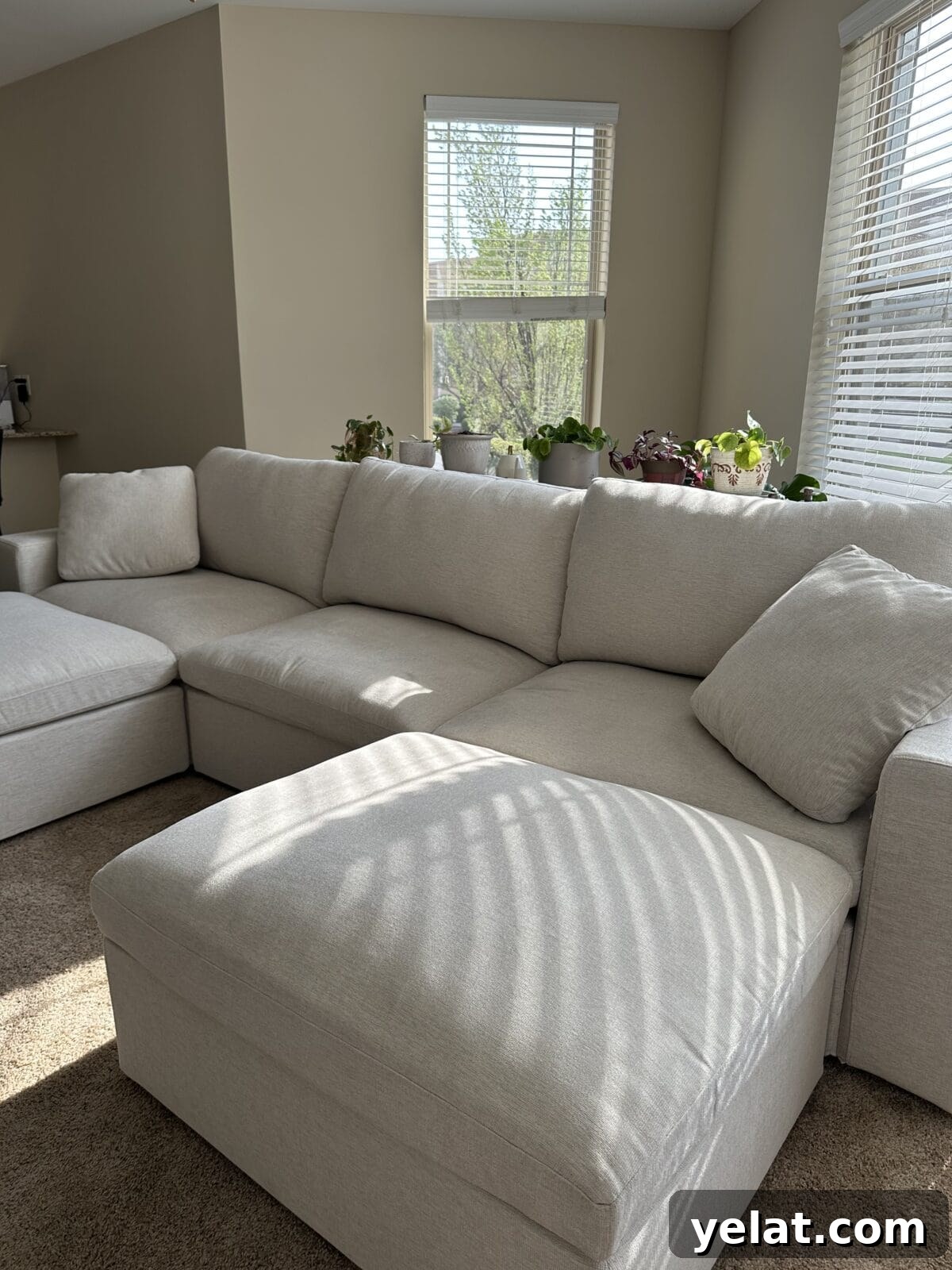 My 7th Avenue Sofa Review: Modular, PFAS-Free Upholstery 7 A photo showcasing a PFAS-free sofa by 7th Avenue placed in the living room
