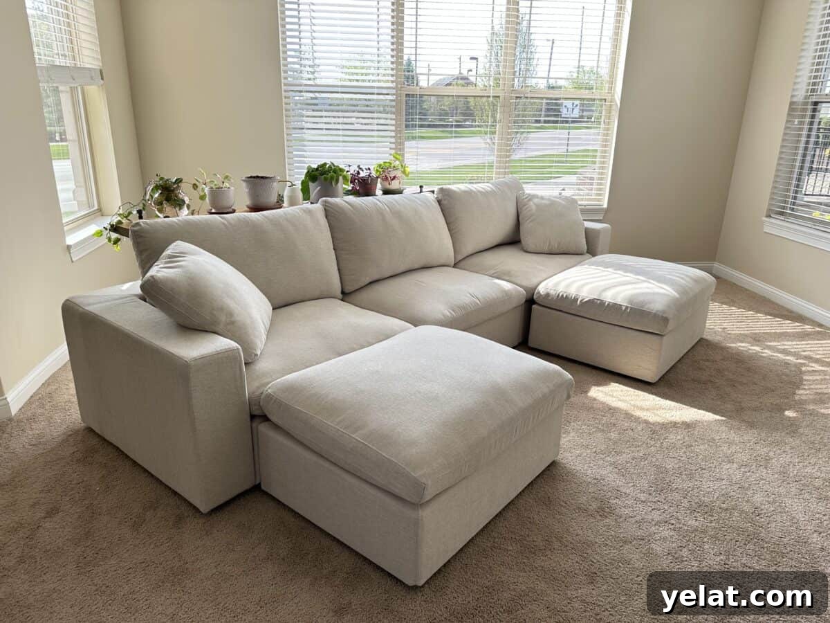 My 7th Avenue Sofa Review: Modular, PFAS-Free Upholstery 8 An interior shot highlighting a PFAS-free sofa from 7th Avenue