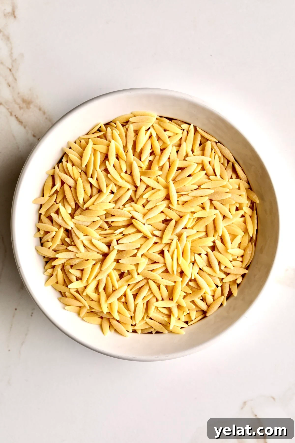 Orzo vs risotto