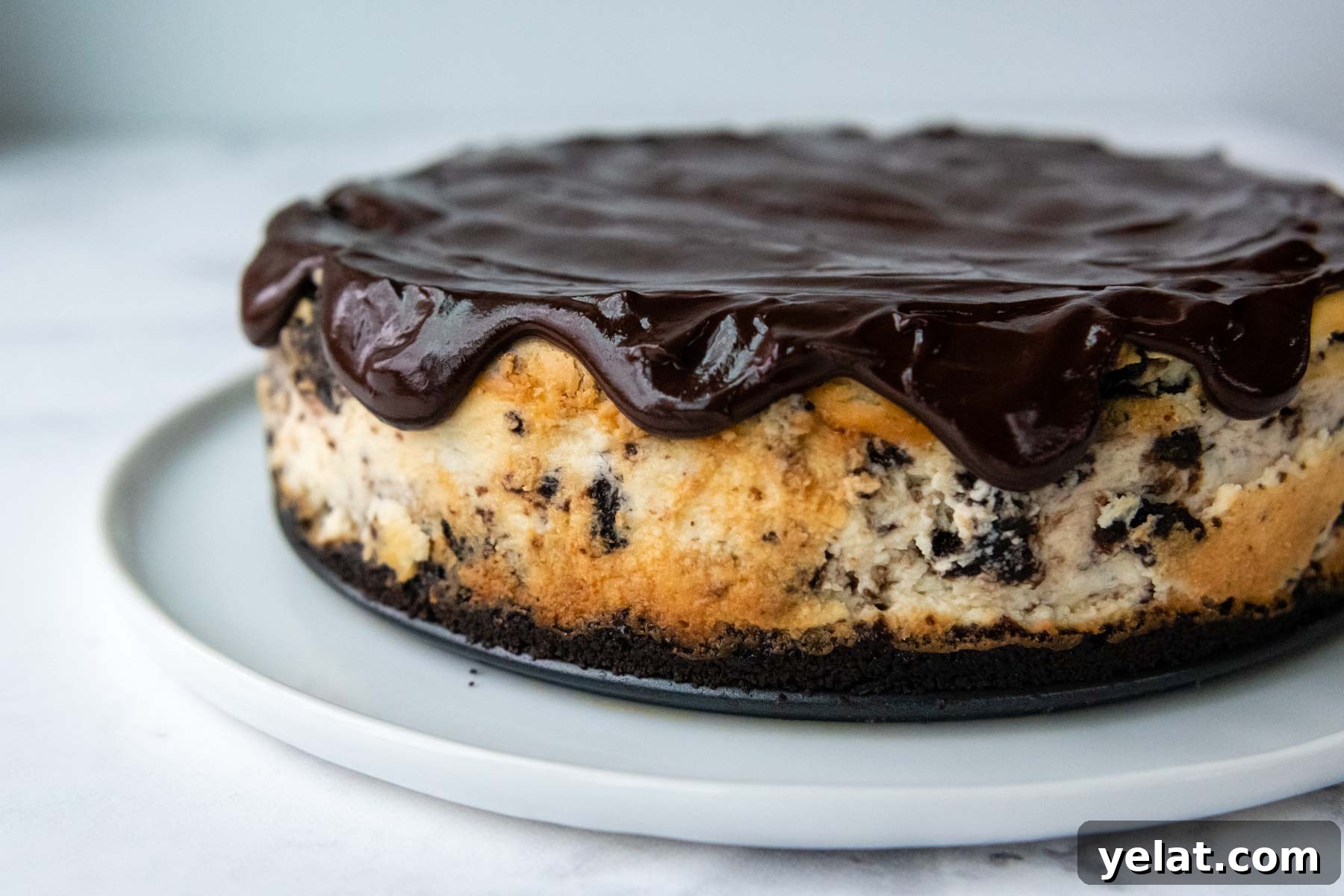 Ultra-Cream Gluten-Free Oreo Cheesecake Recipe 8 img 30262 8