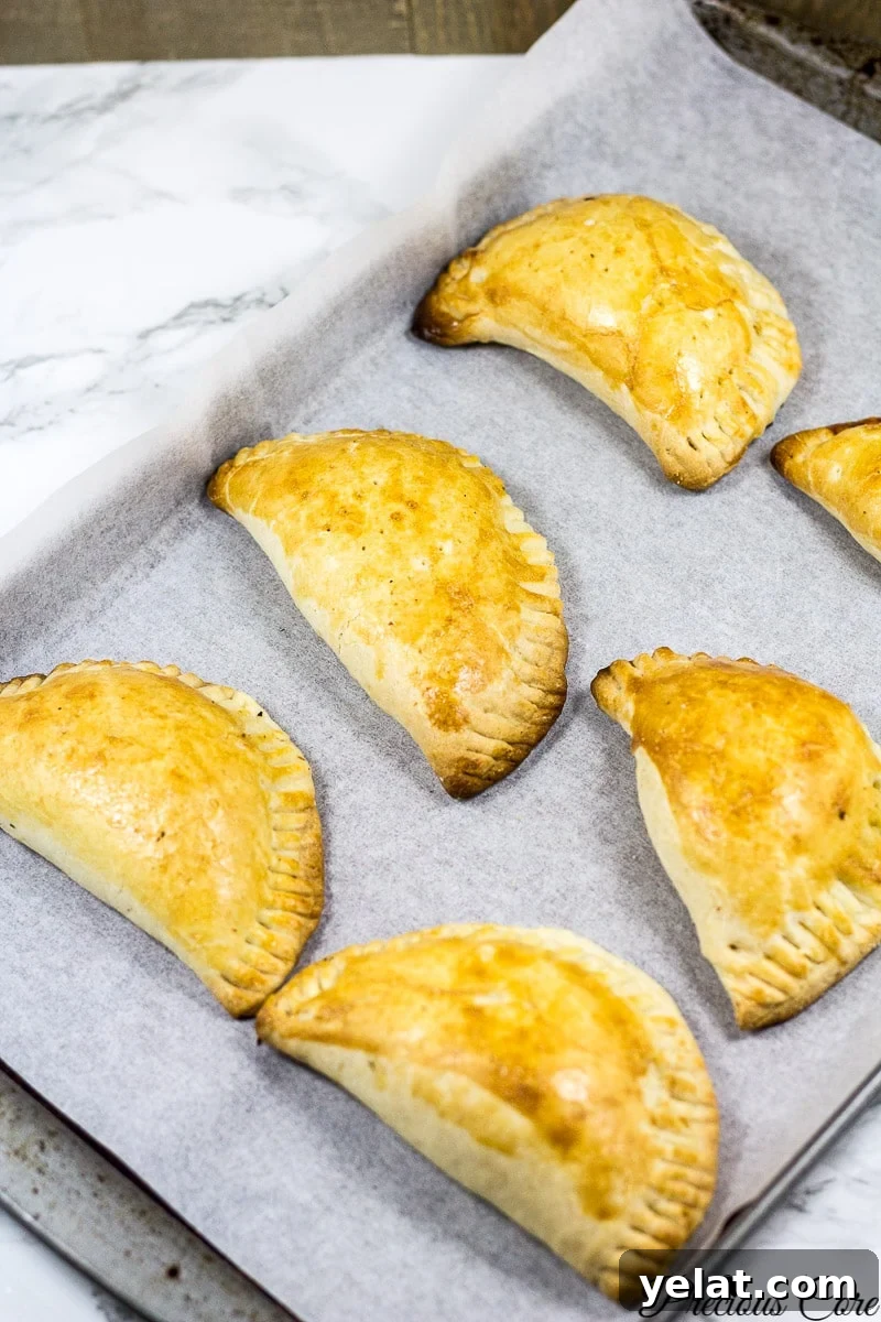 nigerian meat pie