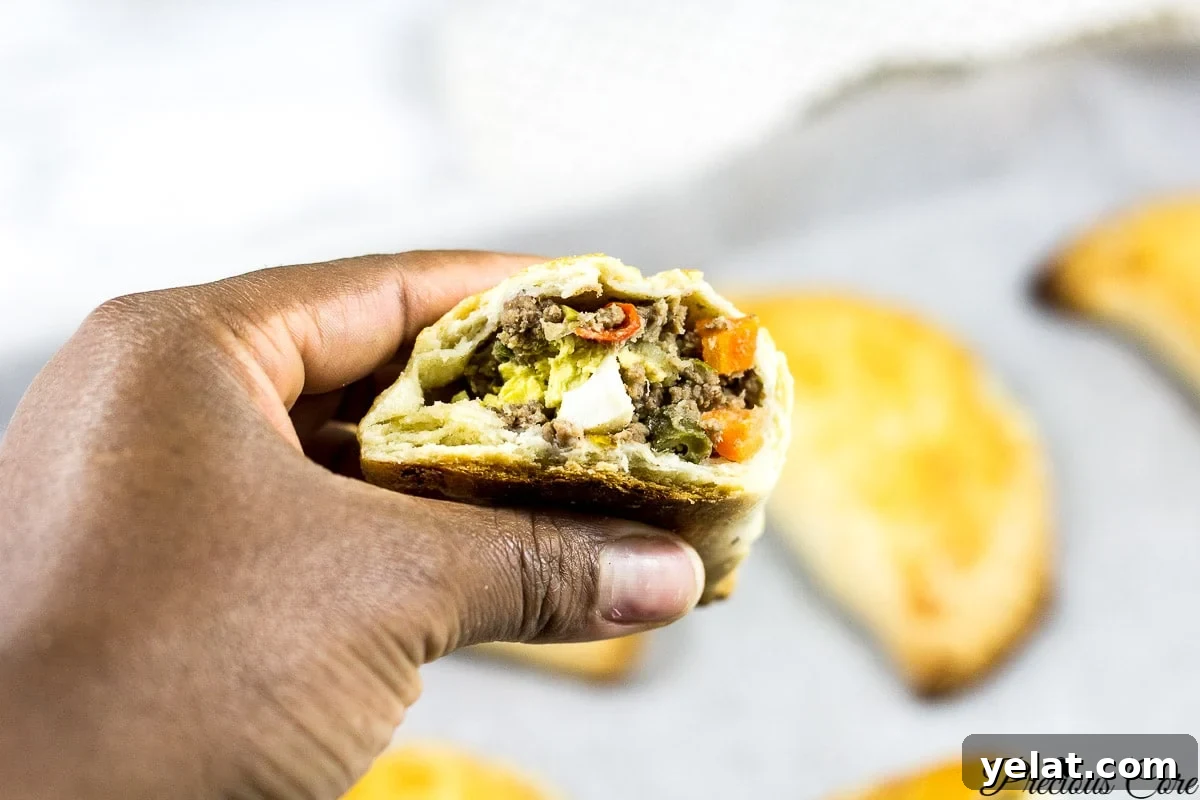 African meat pie
