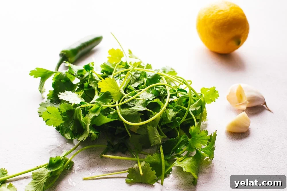 A rinsed bunch of coriander with garlic, green chilli and a lemon.