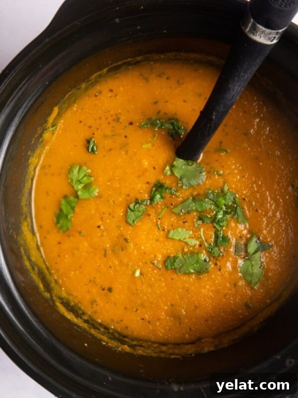 Overhead shot of blended carrot and coriander soup in slow cooker topped with fresh coriander and ladle.