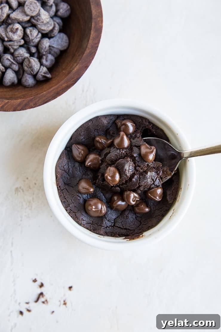 Double Chocolate Vegan Black Bean Cookies That Melt in Your Mouth 10 Single-serve black bean brownie in a mug - grain-free, refined sugar-free, egg-free and delicious
