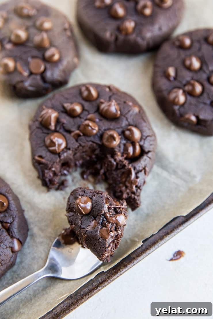 Double Chocolate Vegan Black Bean Cookies That Melt in Your Mouth 11 Vegan Chocolate Black Bean Cookies - 6 ingredients, no eggs, no flour, grain-free, dairy-free, refined sugar-free and healthy!