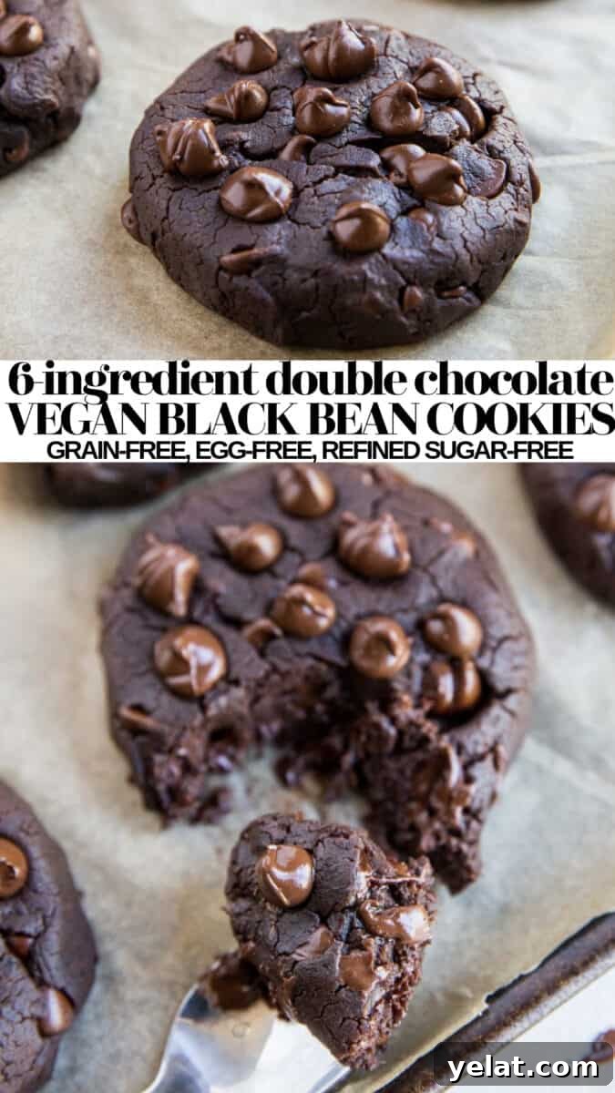 Double Chocolate Vegan Black Bean Cookies That Melt in Your Mouth 12 Double Chocolate Vegan Black Bean Cookies - healthy 6-ingredient vegan cookies with no eggs, gluten-free and refined sugar-free! A healthy dessert recipe!