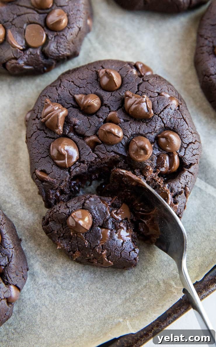 Double Chocolate Vegan Black Bean Cookies That Melt in Your Mouth 3 Double Chocolate Vegan Black Bean Cookies - healthy 6-ingredient vegan cookies with no eggs, gluten-free and refined sugar-free! A healthy dessert recipe!