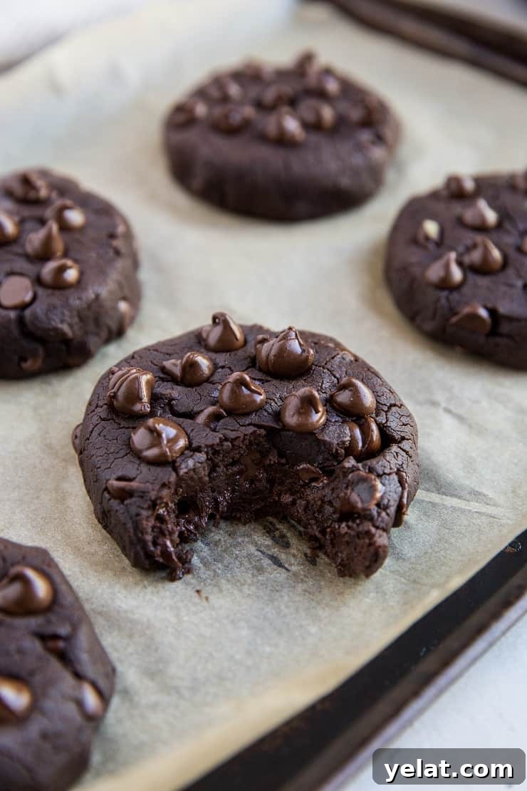Double Chocolate Vegan Black Bean Cookies That Melt in Your Mouth 4 Vegan Double Chocolate Black Bean Cookies made with 6 whole food ingredients. Dairy-free, refined sugar-free, grain-free, egg-free and healthy!
