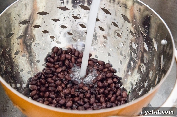 Double Chocolate Vegan Black Bean Cookies That Melt in Your Mouth 5 Black beans in a colander