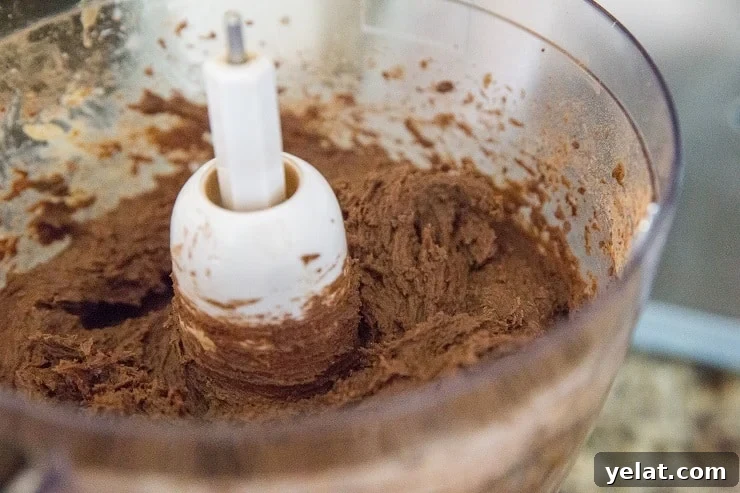 Double Chocolate Vegan Black Bean Cookies That Melt in Your Mouth 7 Vegan black bean cookie dough in a food processor