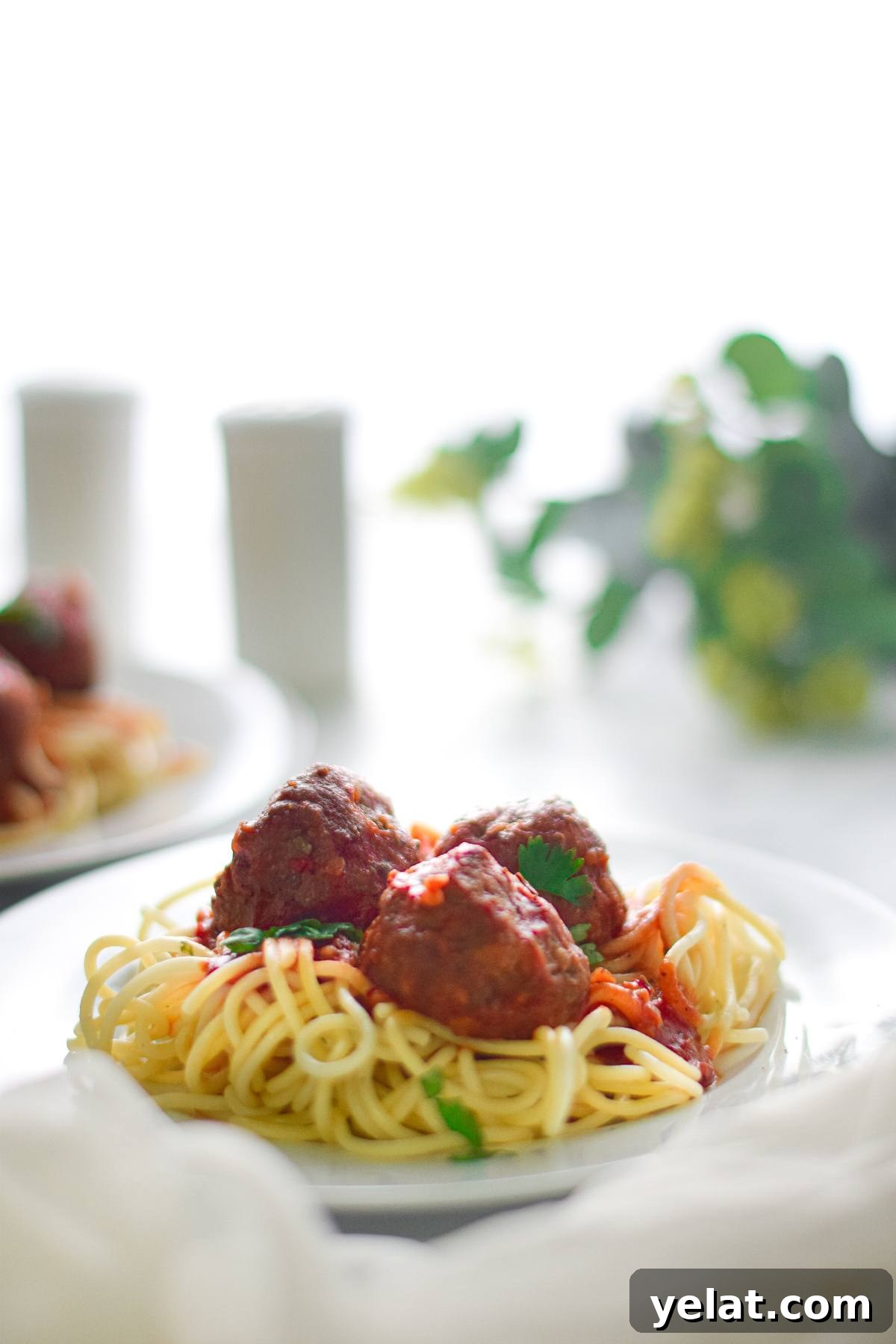 Air Fryer Meatballs in Marinara Sauce: Quick Homemade Recipe 21 A plate of spaghetti topped with easy vegan meatballs and tomato sauce, garnished with herbs.