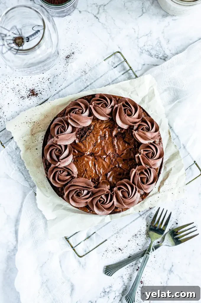 Cookie Dough Brownies with Gluten-Free & Dairy-Free Options 8 A circular brownie with a chocolately crinkle top and covered in chocolate fudge frosting swirls around the border.