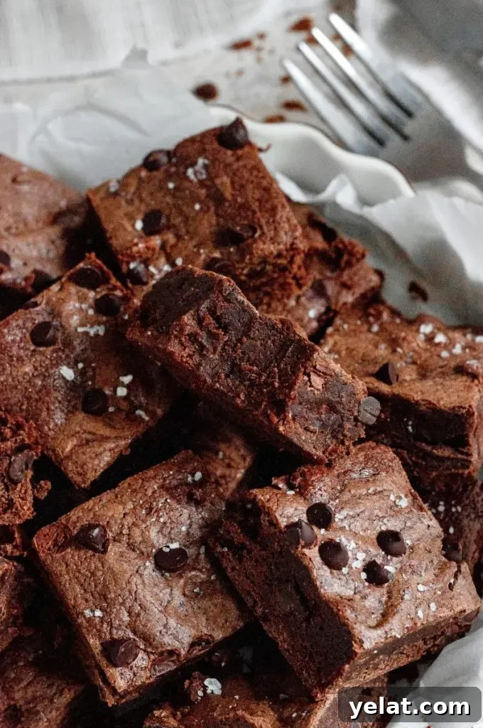 Cookie Dough Brownies with Gluten-Free & Dairy-Free Options 9 Rich chocolate brown brownies full of chocolate chips and a little bit of white coarse sea salt sprinkled on top.