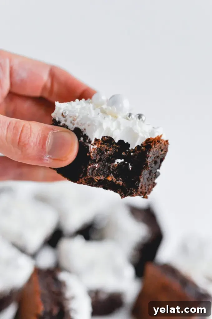 Cookie Dough Brownies with Gluten-Free & Dairy-Free Options 10 Mint chocolate brownie