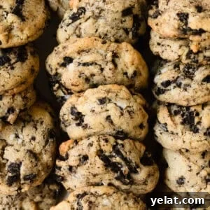 Cookies & Cream Sandwich Cookies: How to Make Oreo-Style Treats 8 img 32197 7