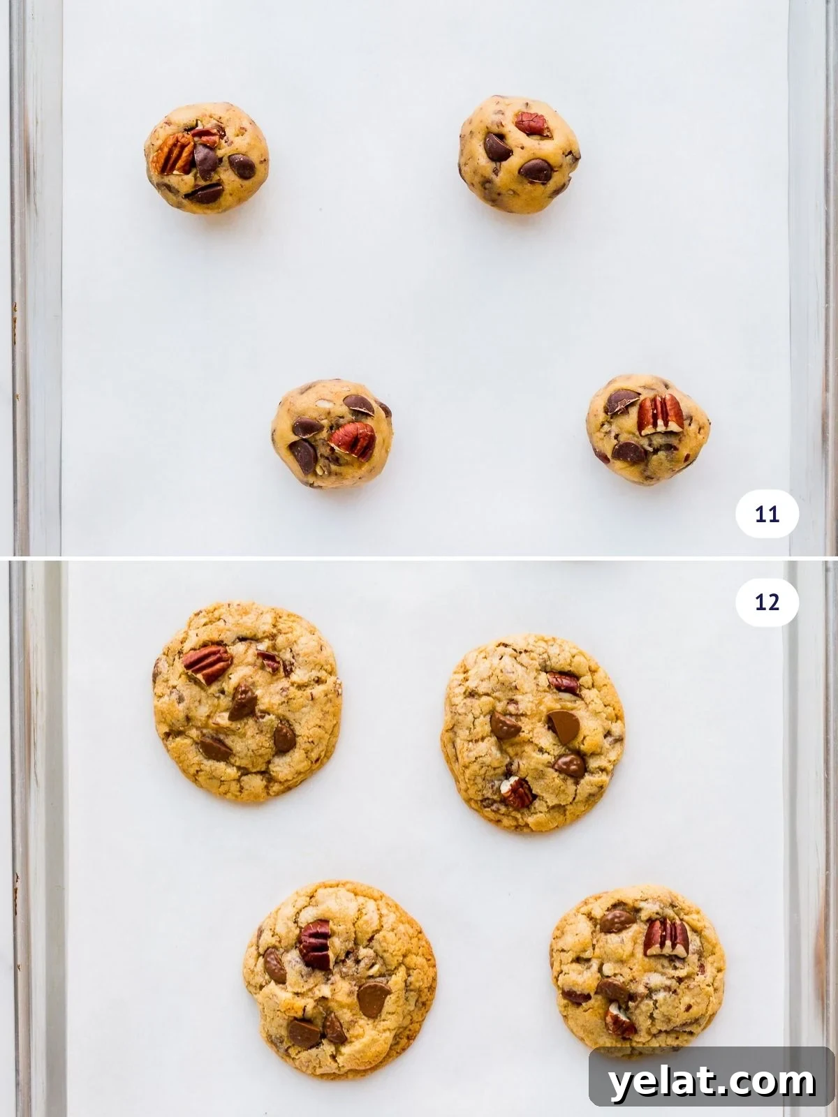 Chewy Chocolate Chip Pecan Cookies Recipe 8 Chocolate chip cookies with pecans on a sheet pan before and after baking.