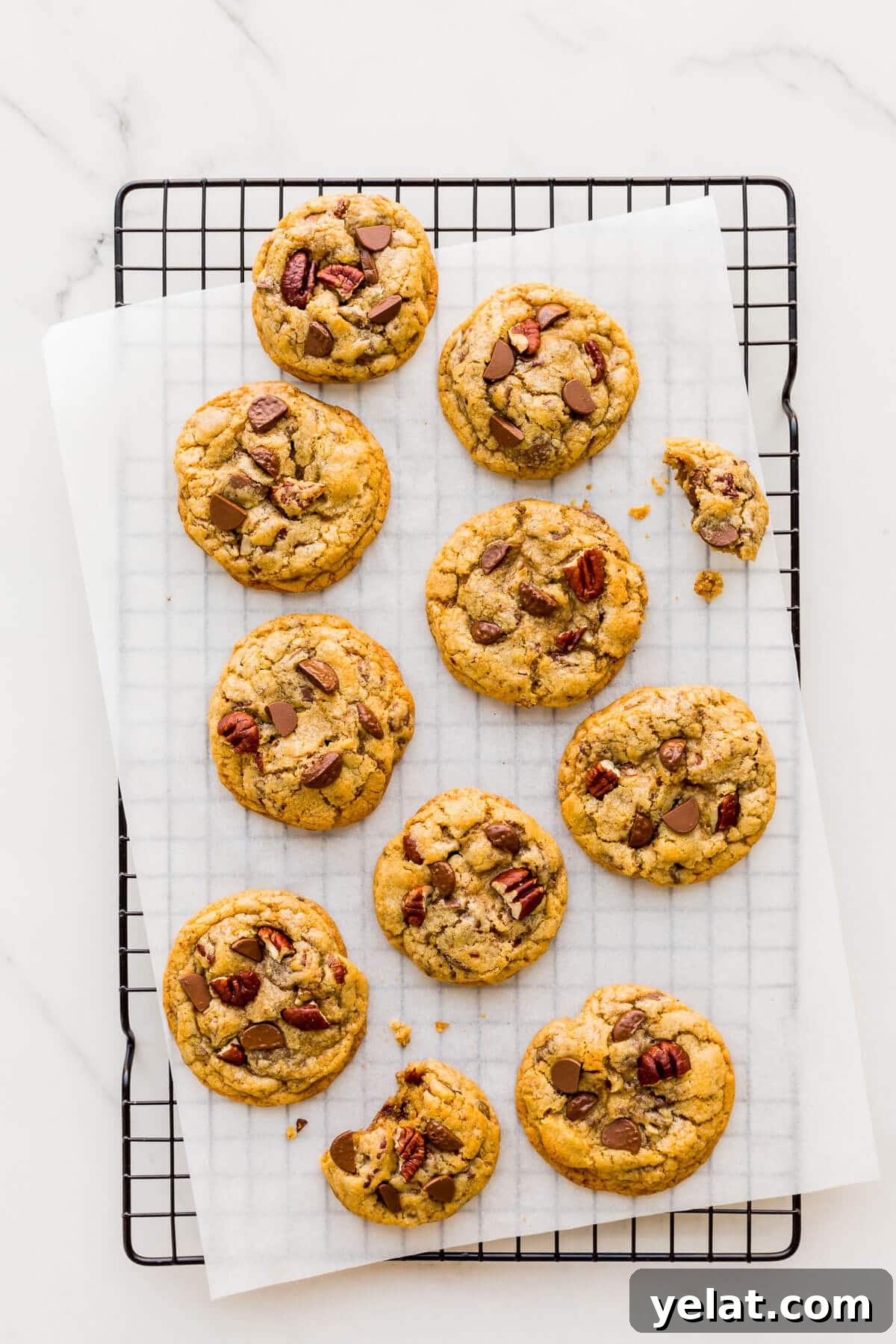 Chewy Chocolate Chip Pecan Cookies Recipe 9 Chocolate chip cookies with pecans cooling on a wire rack.