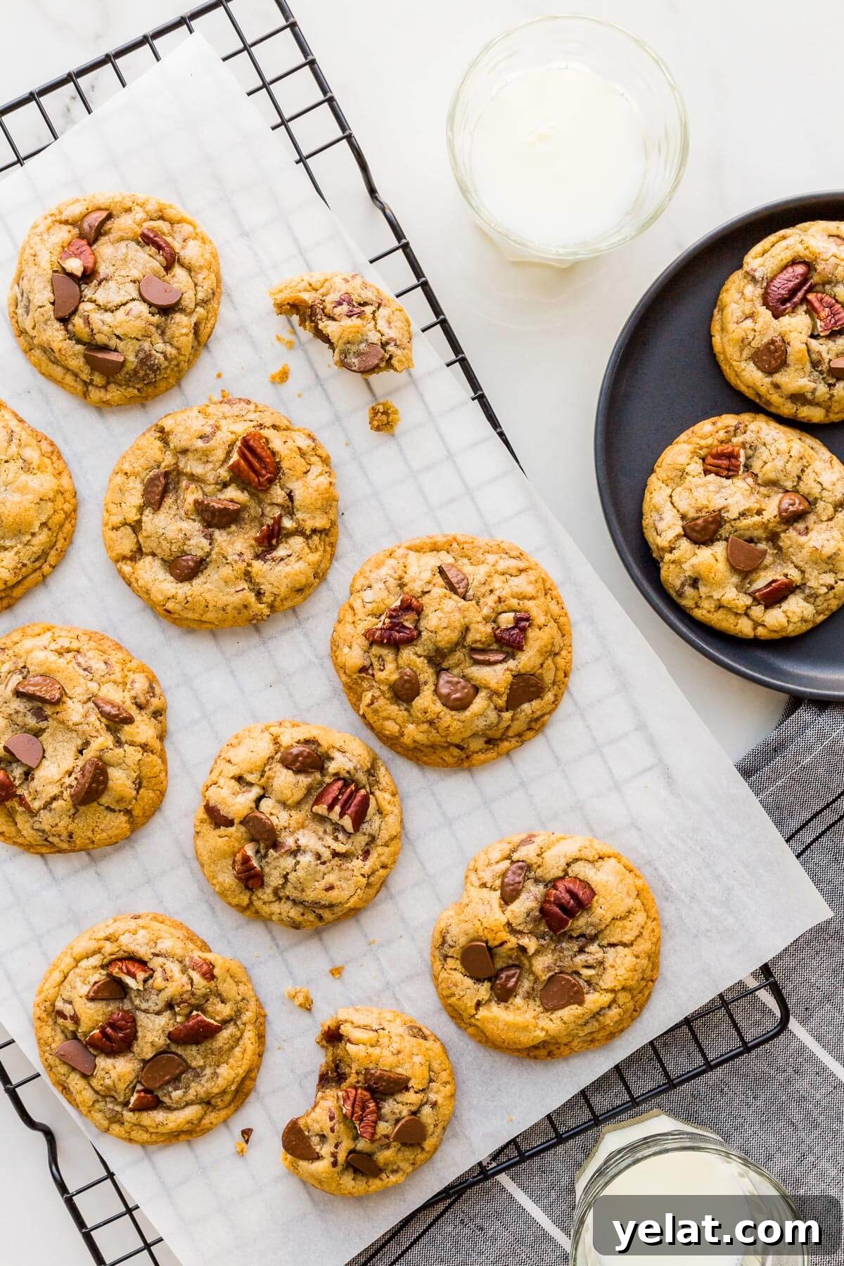 Chewy Chocolate Chip Pecan Cookies Recipe 10 Chocolate chip cookies with pecans and chunks of milk chocolate served from a cooling rack onto a black plate with a glass of milk.
