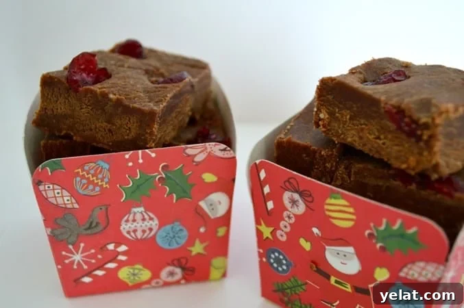 10 Festive Gluten- and Dairy-Free Christmas Recipes You’ll Love 4 Christmas Fudge