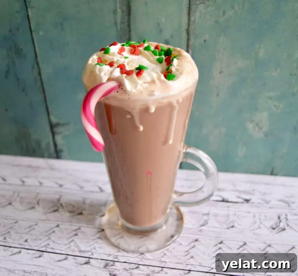 10 Festive Gluten- and Dairy-Free Christmas Recipes You’ll Love 6 Peppermint Hot Chocolate