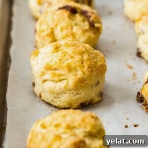 Date and Lemon Buttermilk Scones on a baking paper lined baking tray.