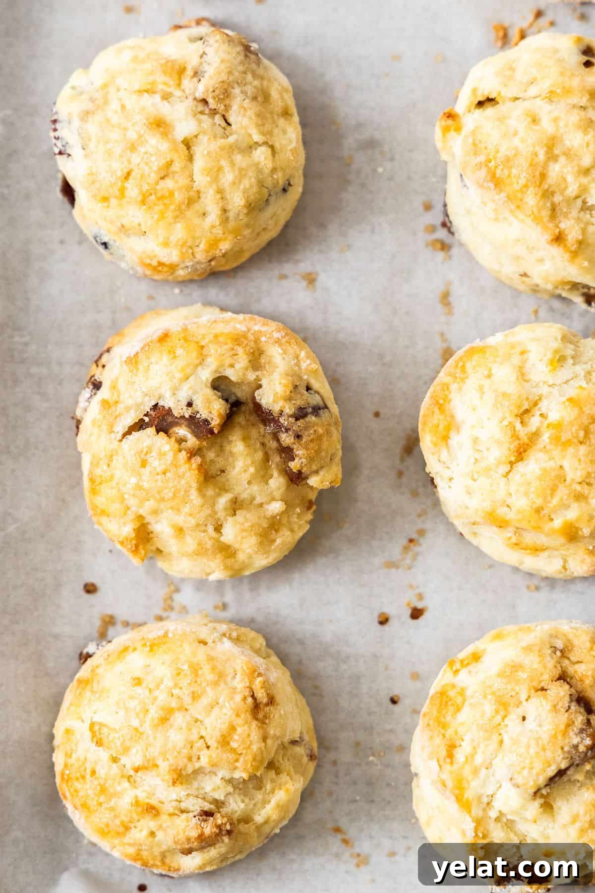 Six Date and Lemon Buttermilk Scones on a baking paper lined baking tray.