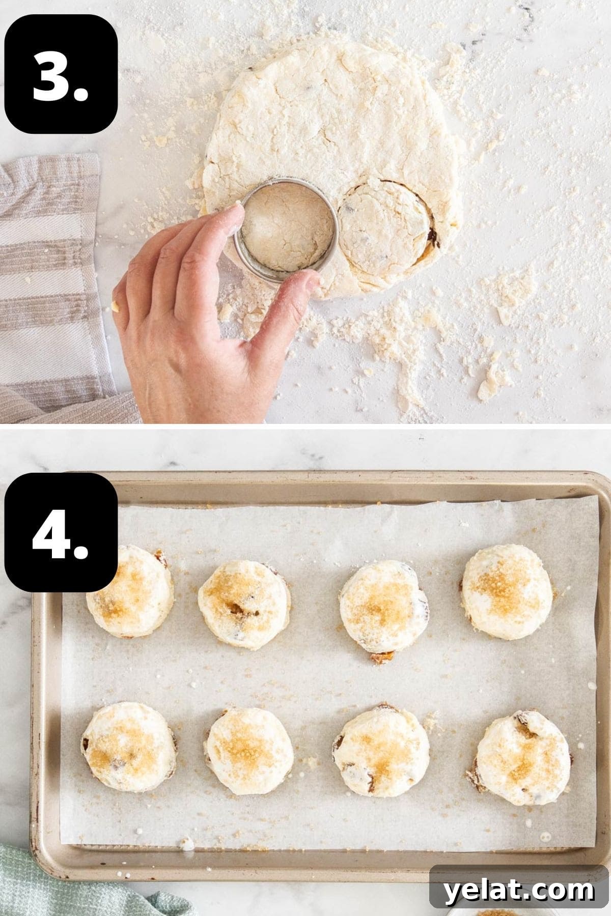Cutting the scones out of the mixture and the scones on a baking tray, sprinkling with some sugar.