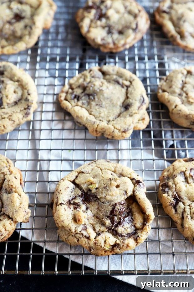 Sea Salt Pistachio Dark Chocolate Cookies Recipe 8 Dark chocolate cookies on a cooling rack picture