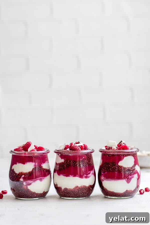 raspberry pomegranate chia pudding parfait